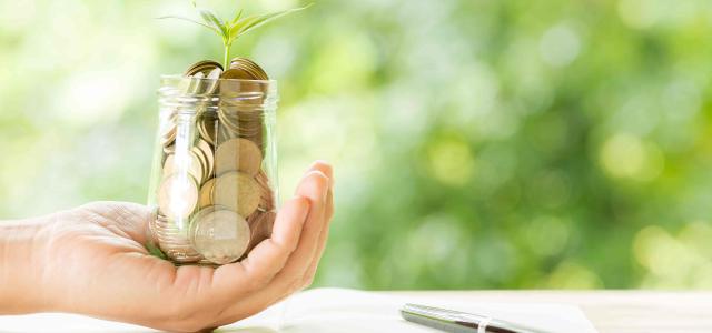 woman-hand-holding-plant-growing-from-coins-bottle